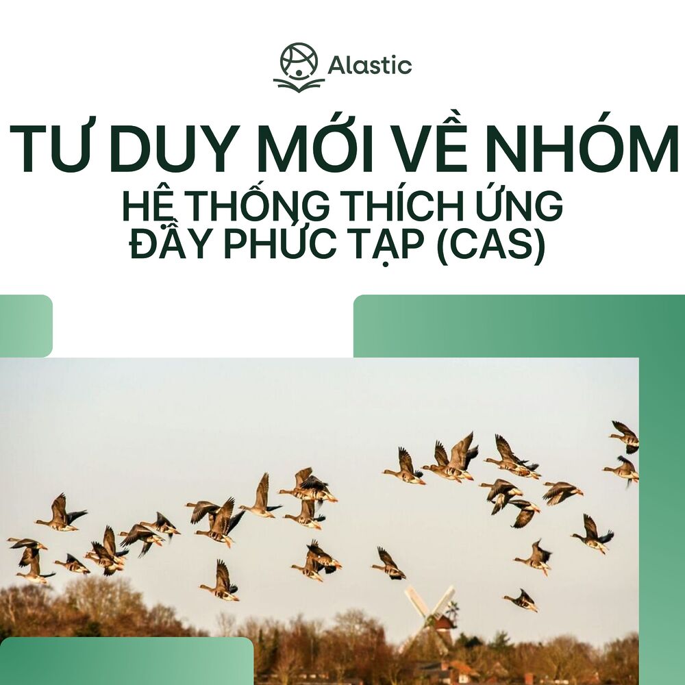 Tư duy mới về nhóm – CAS