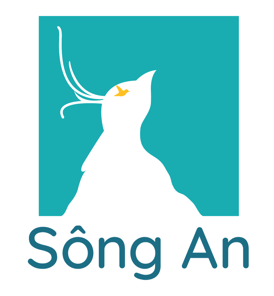 Hướng nghiệp Sông An
